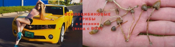 мяу мяу мука Зеленокумск