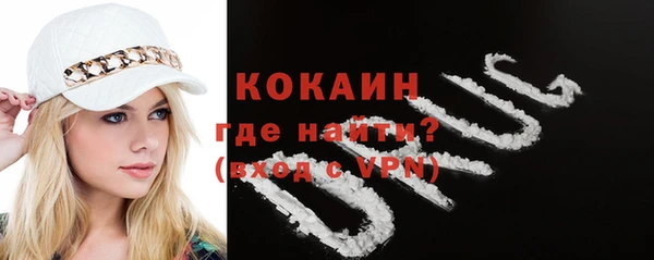 стаф Кодинск