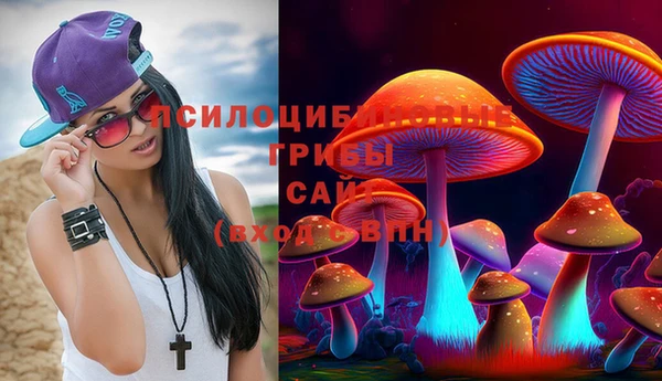 меф Алексин