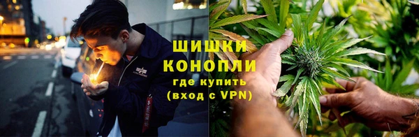 винт Алзамай