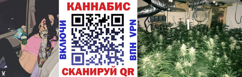 Бошки марихуана Bruce Banner  kraken рабочий сайт  Алзамай 